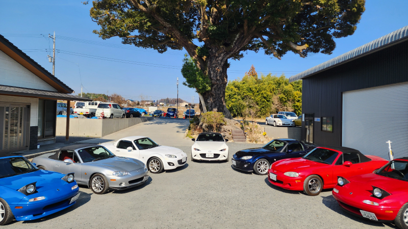 車が並んでいる写真