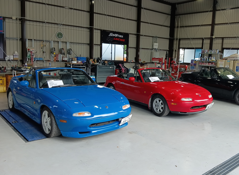 車が並んでいる写真