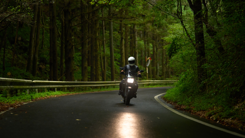 森の中をバイクが走る写真